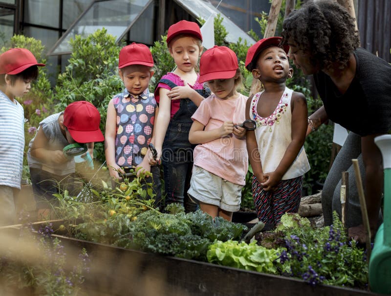 Escuela del profesor y de los niños que aprende cultivar un huerto de la ecología fotos de archivo libres de regalías Escuela del profesor y de los niños que aprende cultivar un huerto de la ecología fotos de archivo libres de regalías
