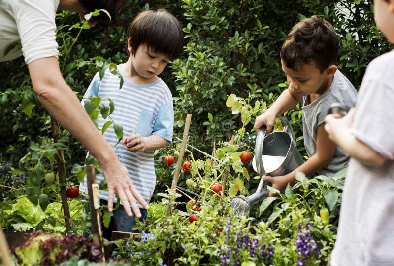 Escuela del profesor y de los niños que aprende cultivar un huerto de la ecología foto de archivo Escuela del profesor y de los niños que aprende cultivar un huerto de la ecología foto de archivo