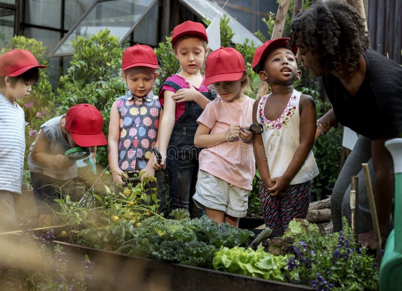 Escuela del profesor y de los niños que aprende cultivar un huerto de la ecología