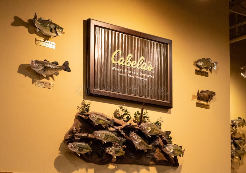 Esempio dell'esposizione di tassidermia dei fornitori di Cabela in deposito, Hazelwood, Mo, U.S.A. fotografia stock libera da diritti Esempio dell'esposizione di tassidermia dei fornitori di Cabela in deposito, Hazelwood, Mo, U.S.A. fotografia stock libera da diritti