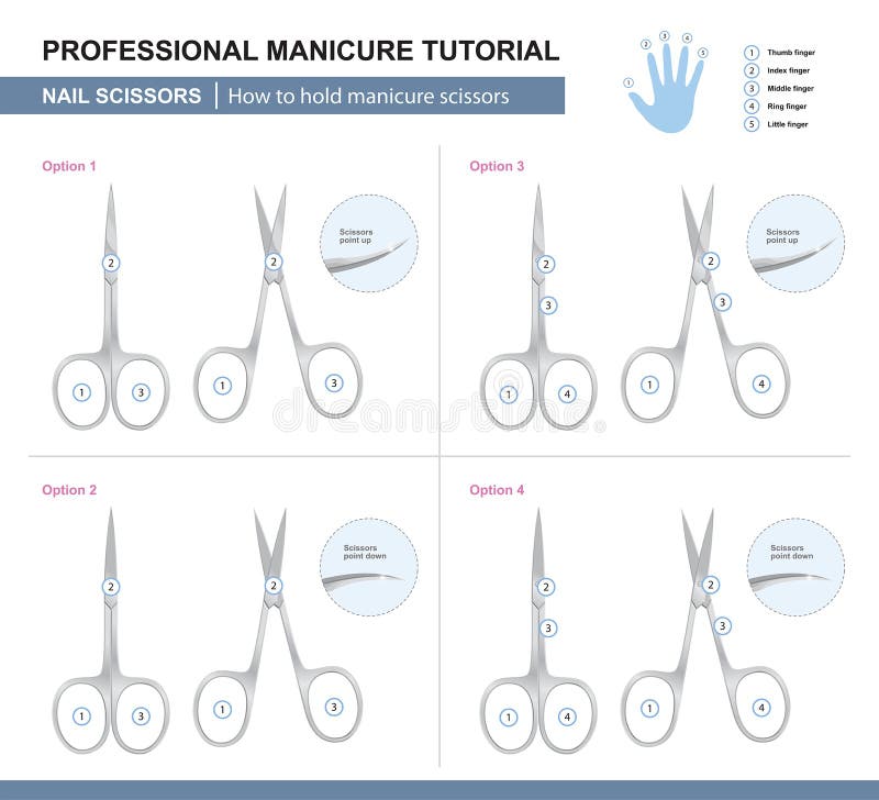 Esercitazione professionale del manicure Come tenere le forbici del manicure Vettore Esercitazione professionale del manicure Come tenere le forbici del manicure Vettore