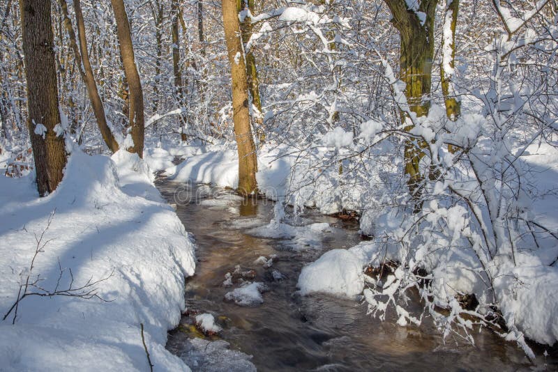 Eslovaquia - The Creek en bosque del invierno imágenes de archivo libres de regalías Eslovaquia - The Creek en bosque del invierno imágenes de archivo libres de regalías