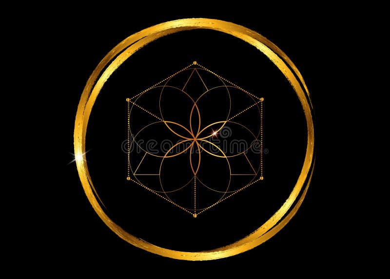 Esoteriskt guld- symbol av alkemi, blomma av liv Sakral geometri, grafisk svart best? ndsdelvektor som isoleras eller Guld- runda royaltyfri illustrationer