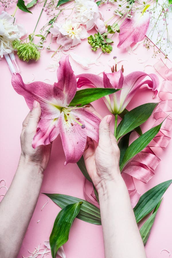 Espacio de trabajo creativo del florista Las manos femeninas que sostienen el lirio rosado grande hermoso florecen en la tabla de imagenes de archivo Espacio de trabajo creativo del florista Las manos femeninas que sostienen el lirio rosado grande hermoso florecen en la tabla de imagenes de archivo