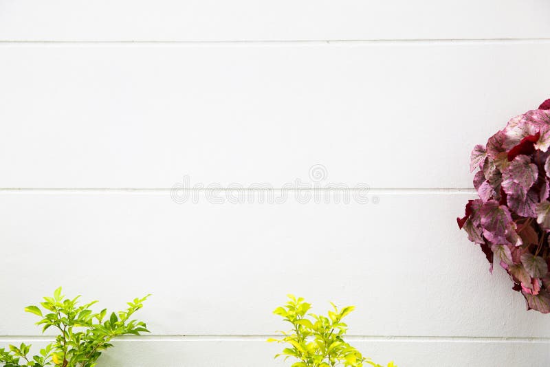 Espacio vacío, plantando las flores de la primavera foto de archivo libre de regalías Espacio vacío, plantando las flores de la primavera foto de archivo libre de regalías