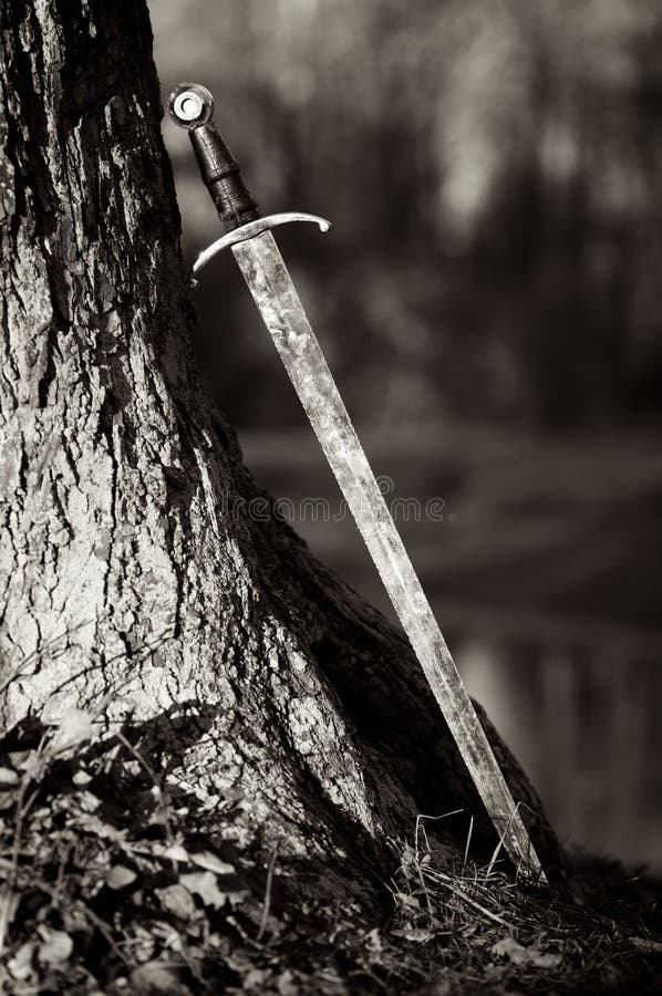 An artistic black & white image on an ancient sword leaning against a tree in a forest. An artistic black & white image on an ancient sword leaning against a tree in a forest.