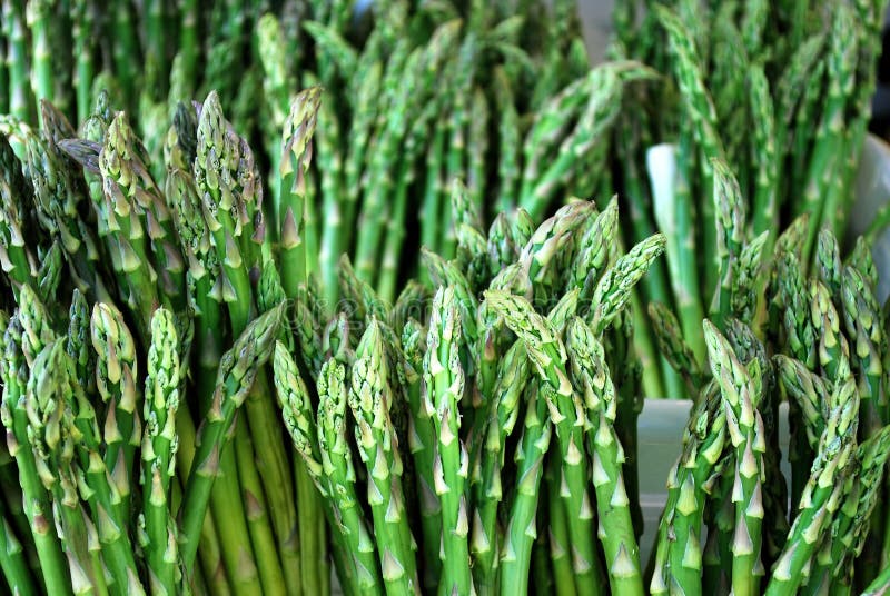 Aspargo foto de stock royalty free