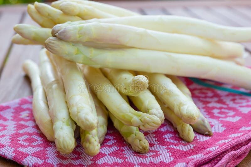 Espargos fotografia de stock royalty free