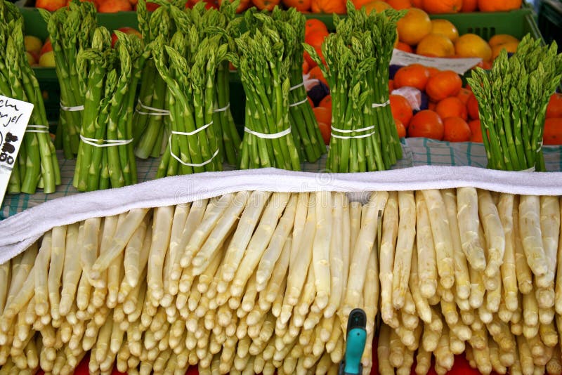 Espargo imagem de stock