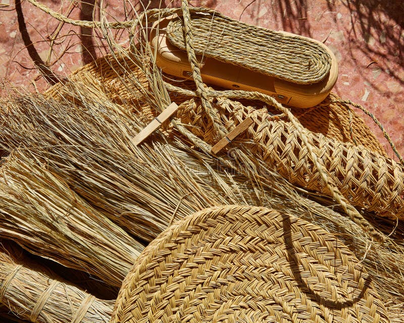Esparto Halfah Grass Used for Crafts Basketry Stock Image Image of