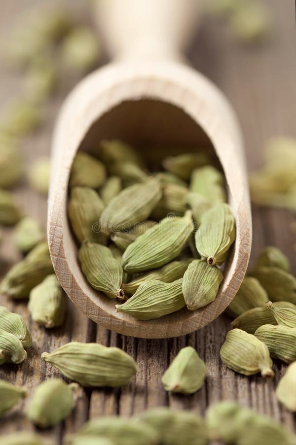 Especiaria verde do ayurveda do superfood das sementes do cardamomo na imagens de stock Especiaria verde do ayurveda do superfood das sementes do cardamomo na imagens de stock