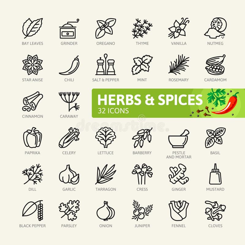 Especiarias, condimentos e ervas - linha fina mínima grupo do ícone da Web Coleção dos ícones do esboço ilustração royalty free Especiarias, condimentos e ervas - linha fina mínima grupo do ícone da Web Coleção dos ícones do esboço ilustração royalty free