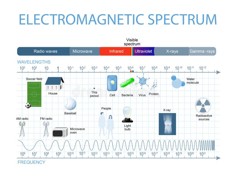 Electromagnetic Spectrum. The spectrum of waves includes infrared rays, visible light, ultraviolet rays, and X-rays. Human eyes are only sensitive to the range that is between wavelength 780 nanometers and 380 nanometers in length. Electromagnetic Spectrum. The spectrum of waves includes infrared rays, visible light, ultraviolet rays, and X-rays. Human eyes are only sensitive to the range that is between wavelength 780 nanometers and 380 nanometers in length.