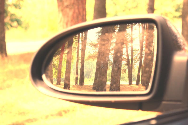 Espelho de carro com imagem da floresta do pinho do ver?o na reflex?o no bom tempo claro do ver?o imagens de stock Espelho de carro com imagem da floresta do pinho do ver?o na reflex?o no bom tempo claro do ver?o imagens de stock