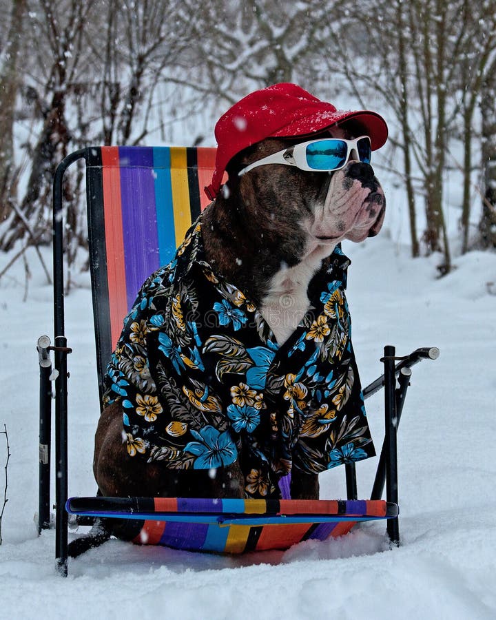 Esperando um verão quente Esperando um verão quente