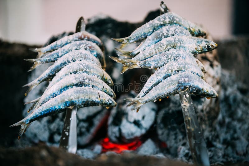 Espetos - skewer with sardines in a fire. Spanish cuisine