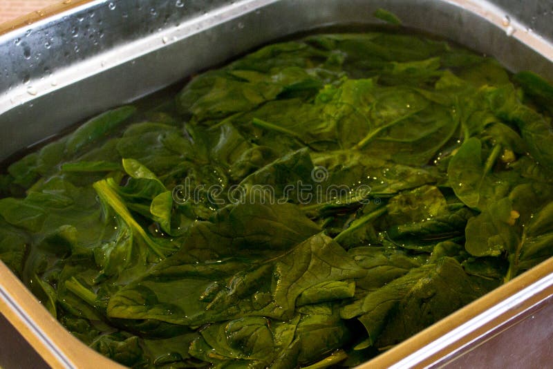 Espinaca verde fresca, empapada en agua en un cuenco del metal foto de archivo libre de regalías Espinaca verde fresca, empapada en agua en un cuenco del metal foto de archivo libre de regalías