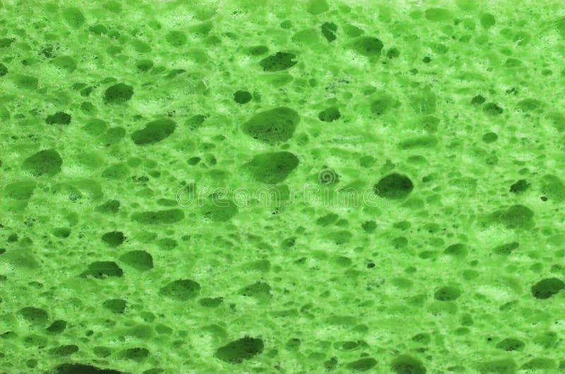 Esponja verde-lima imagem de stock royalty free