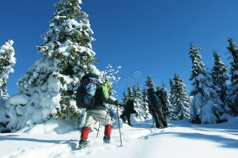 Hikers in the winter mountains. Hikers in the winter mountains