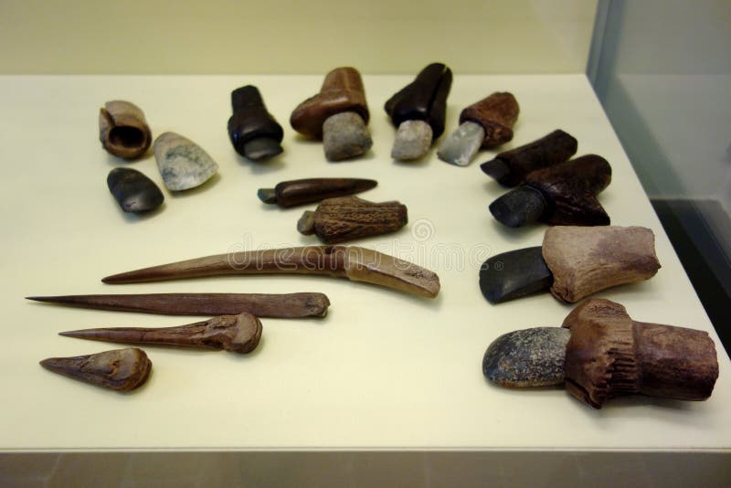 Esposizione delle asce e dell'osso e degli strumenti di pietra primitivi di Antler