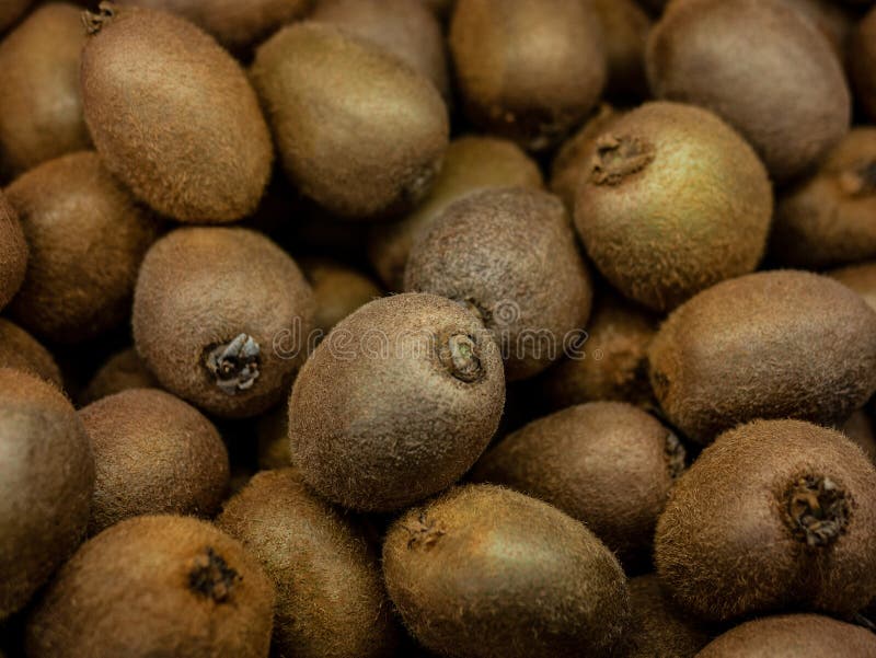 Esposizione variopinta del primo piano di Kiwi Fruit In Market Fondo fotografia stock Esposizione variopinta del primo piano di Kiwi Fruit In Market Fondo fotografia stock