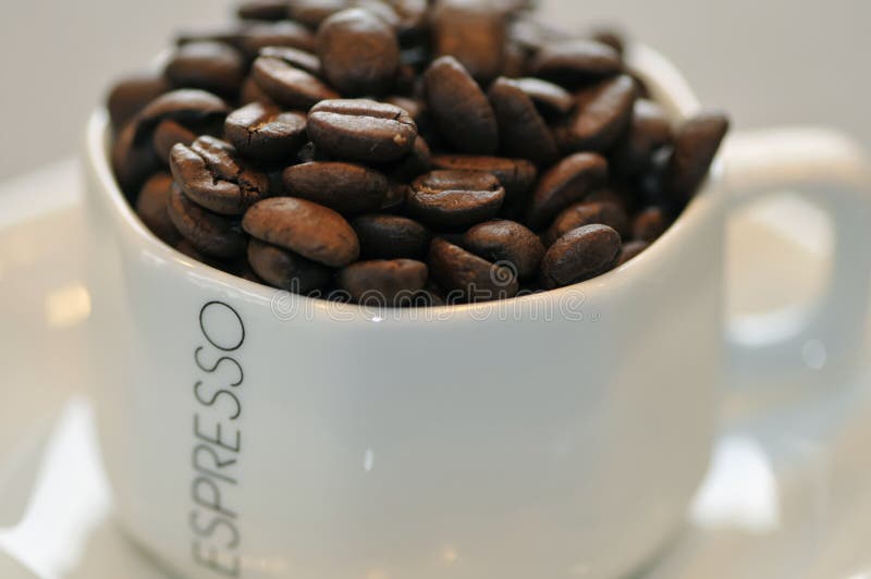 Espresso Beans in a Cup stock image. Image of french, bean 5085157