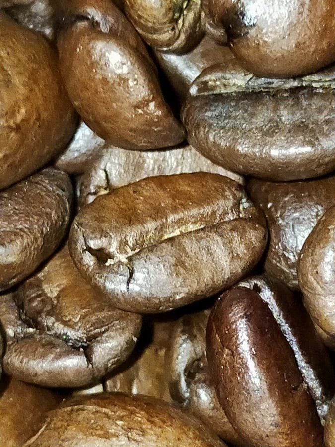 Espresso Coffee Beans Dark Roasted Macro Image in Hand Stock Photo