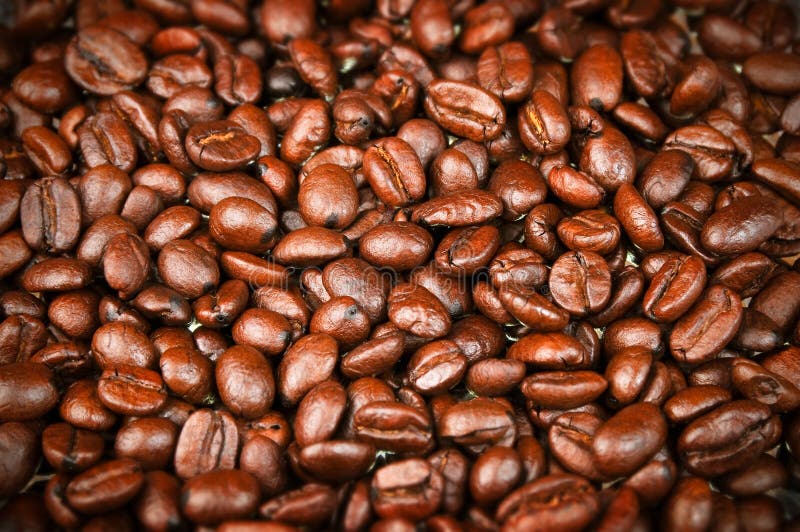 Fresh Roasted Coffee Beans, Espresso, Java w/ rich color and aroma for brewing. Fresh Roasted Coffee Beans, Espresso, Java w/ rich color and aroma for brewing