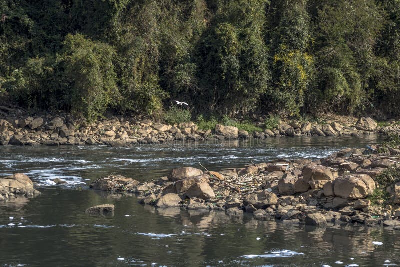 Espuma de la contaminación en el río de Tiete imagen de archivo libre de regalías Espuma de la contaminación en el río de Tiete imagen de archivo libre de regalías
