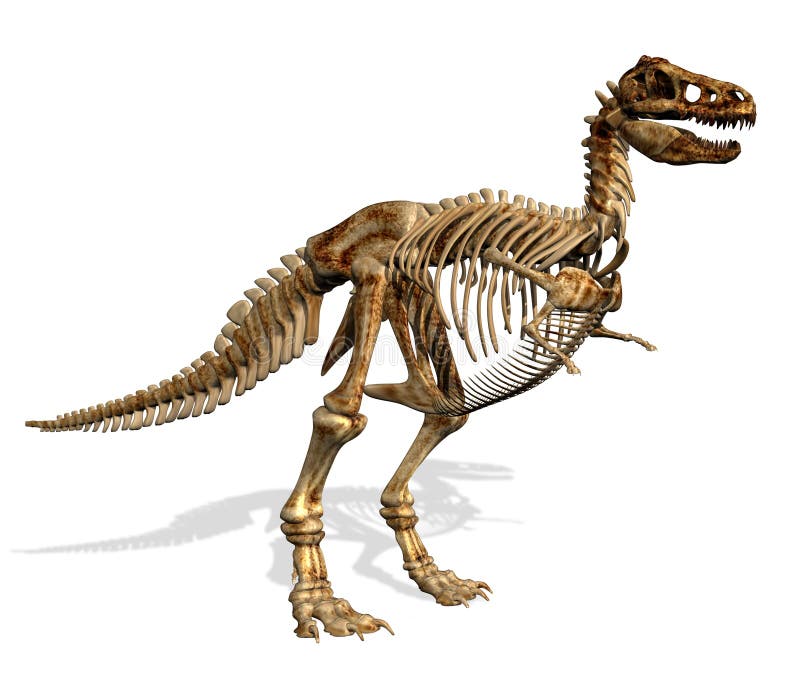Esqueleto de Rex del Tyrannosaurus ilustración del vector Esqueleto de Rex del Tyrannosaurus ilustración del vector