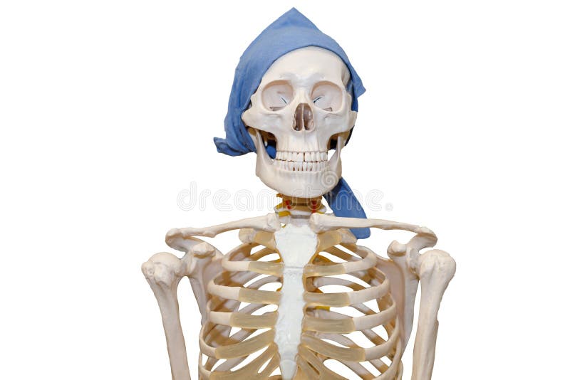Generosidad policía seguridad Esqueleto De Un Hombre Con Una Bandana Azul Aislado En Un Fondo Blanco  Imagen de archivo - Imagen de partido, humano: 240554687