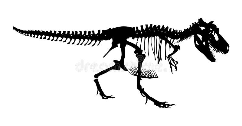 Rex Dinossauro Esqueleto Ilustração Vetor imagem vetorial de 2S-Design©  394359130