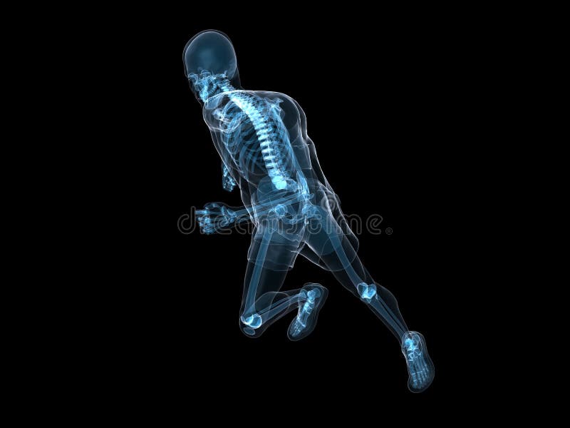 3d rendered illustration of a running skeleton. 3d rendered illustration of a running skeleton