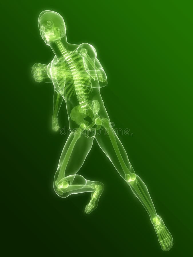 3d rendered x-ray illustration of a running skeleton. 3d rendered x-ray illustration of a running skeleton