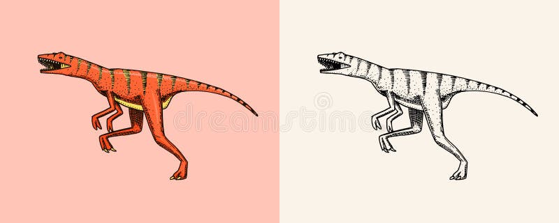 Vetores de Desenho De Dinossauro Esboço De Mão Da Ilustração De  Velociraptor Preto E Branco e mais imagens de Velociraptor - iStock
