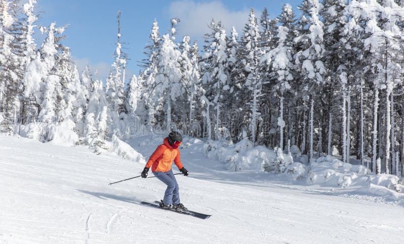 Esquí alpino. esquiadora esquiadora cuesta abajo frente a árboles recubiertos de nieve en pista de esquí pista de paso en invierno