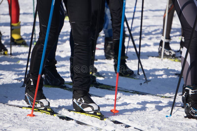 Esquía el maratón la vista de las piernas de los pies de los esquiadores de muchos atletas, corriendo en la nieve imagenes de archivo Esquía el maratón la vista de las piernas de los pies de los esquiadores de muchos atletas, corriendo en la nieve imagenes de archivo