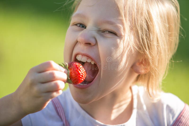 Essen der Katze stockbild. Bild von koch, schwein, kitten 50174043