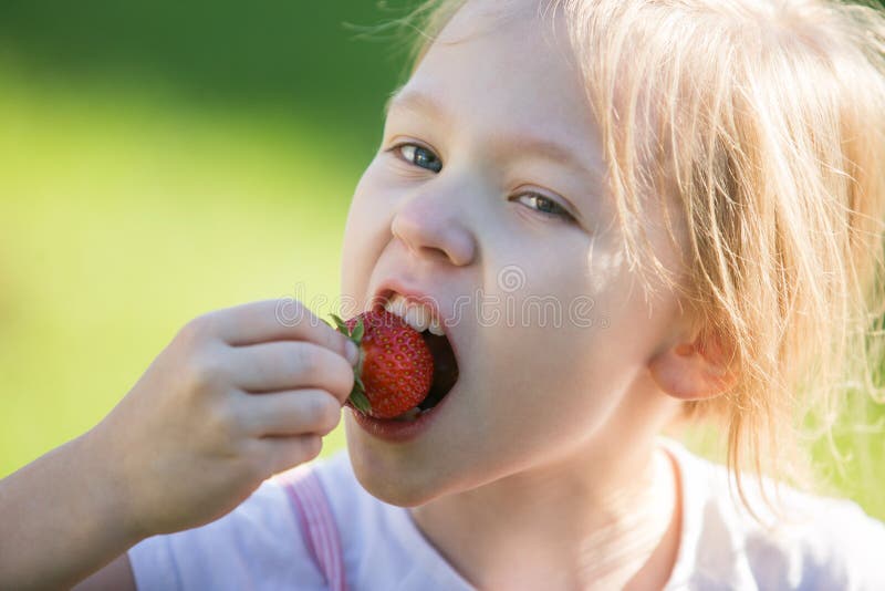 Essen der Katze stockbild. Bild von koch, schwein, kitten 50174043