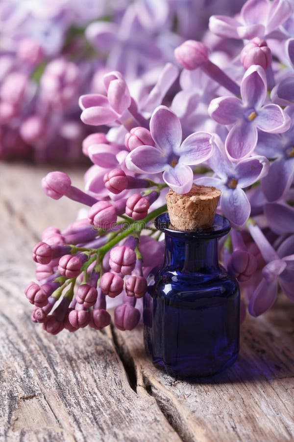 Essence of Fragrant Lilac Flowers Close Up Vertical Stock Image Image
