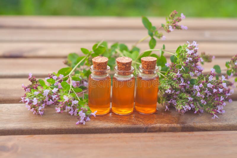 Essence of Lavender Flowers on Table in Beautiful Glass Bottle Stock