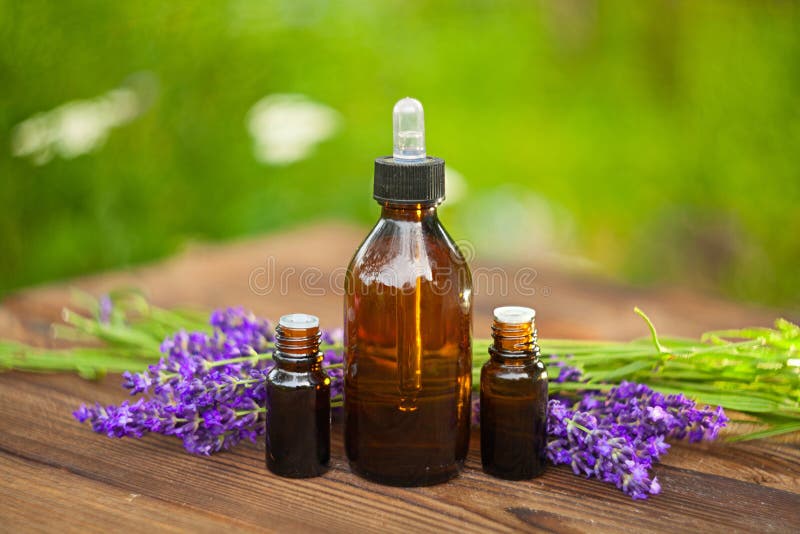 Essence of Lavender Flowers on Table in Glass Jar Stock Image Image