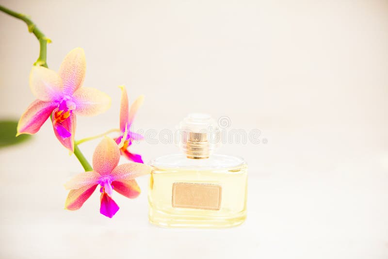 Essence of Orchid Flowers on Table in Beautiful Glass Jar Stock Image