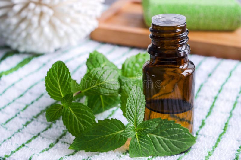 Essential mint oil stock image. Image of aroma, essential 47734545