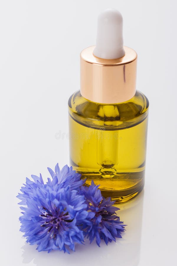 Essential Oil of Cornflower on a White Background Stock Photo Image