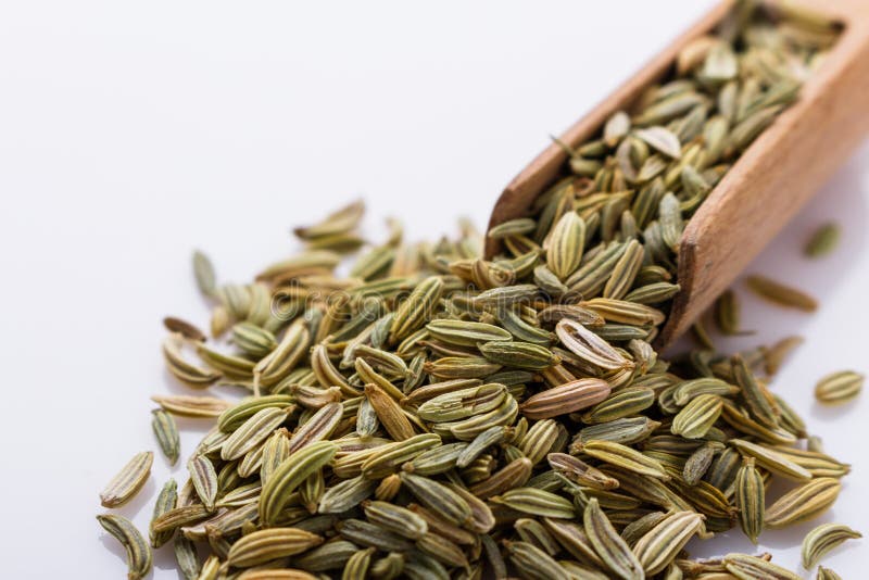 Essential Oil of Fennel Seeds on a White Background Stock Photo Image