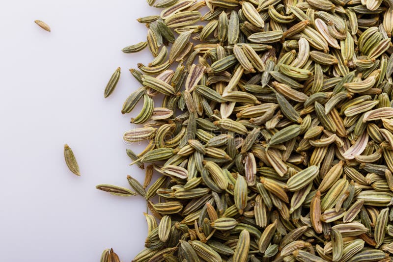 Essential Oil of Fennel Seeds on a White Background Stock Photo Image