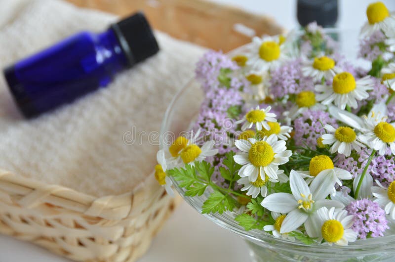 Essential Oil With Herbal Flower Royalty Free Stock Photo Image 31187245