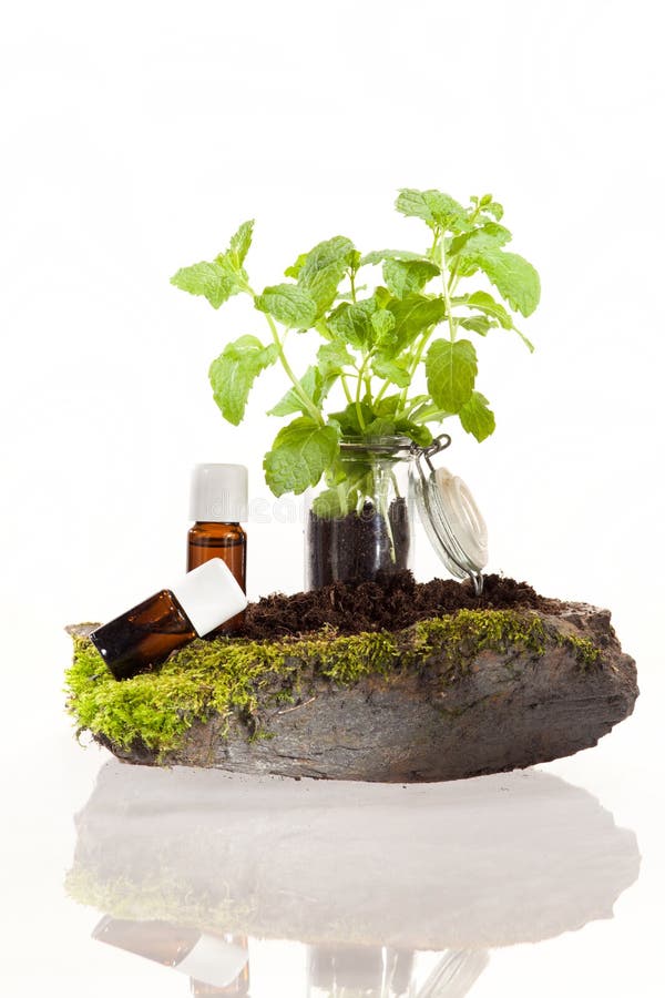 Essential oil of herbs stock image. Image of oils, concentrate 43629947