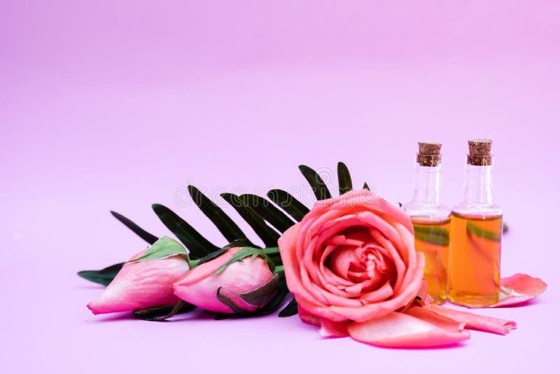 Essential Oil, Rose Flower, Rose Perfume on White Background, Spa